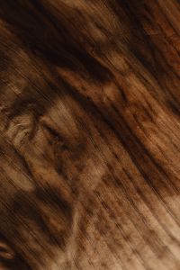 Kaboompics - Abstract Diagonal Texture of a Dried Banana Leaf