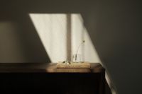 Kaboompics - Minimalist Dark Wood Console with Glass Vase in Dramatic Sunlight
