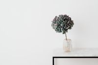 Kaboompics - Minimal Hydrangea Decor on Marble Table Against White Wall