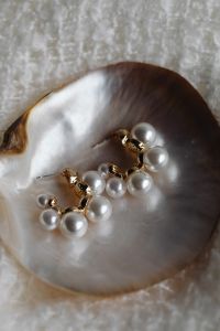 Kaboompics - Gold and Pearl Statement Earrings Resting in an Iridescent Shell