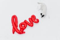 Kaboompics - Red LOVE Balloon on White Snowy Background