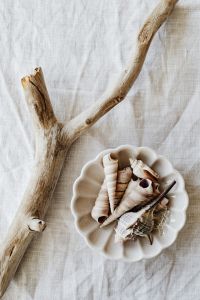 Kaboompics - Forked Driftwood and Seashell Bowl on White Linen, Vertical Coastal Decor Flat Lay