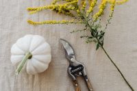 Kaboompics - Single White Pumpkin, Goldenrod and Pruners on Linen, Overhead Gardening Flat Lay