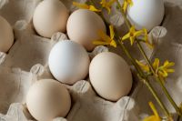 Kaboompics - Pastel Easter Eggs with Yellow Spring Flowers