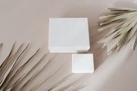 Kaboompics - Two Blank White Packaging Boxes in a Dried Palm Leaf Flat Lay