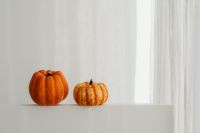 Kaboompics - Autumn Pumpkins on a Minimal White Shelf