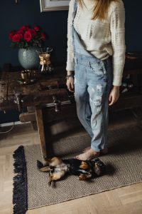 Kaboompics - Petting the little cute dog