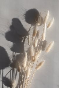 Kaboompics - Shadows on marble