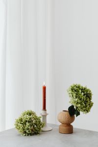 Kaboompics - Green Hydrangea and Candle Still Life