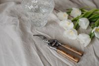Kaboompics - White Tulip Arrangement on Linen with Glass Vase and Wooden-Handled Pruners
