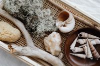 Kaboompics - Close-Up of Seashells, Dried Lichen and Driftwood in a Rattan Tray
