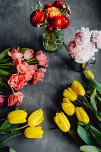 Kaboompics - Colorful Floral Background With Red, Pink, and Yellow Flowers