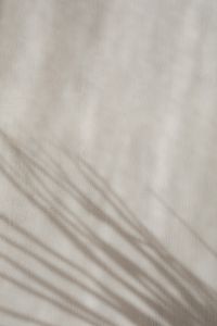 Kaboompics - Delicate Plant Shadows Diagonally Across Beige Textile