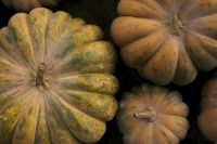 Kaboompics - Close Up of Green and Tan Heirloom Pumpkins