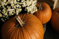 Kaboompics - Close Up of a Large Pumpkin Beneath White Chrysanthemums