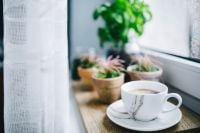 Kaboompics - Morning Coffee in a White Cup by a Window with Potted Plants