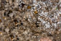 Kaboompics - Abstract Seawater Bokeh on a Pebble Beach Background