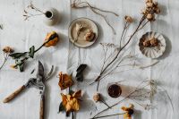 Kaboompics - Dried Flower Still Life with Pruning Shears and Ceramic Tableware for Editorial Use