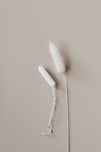 Kaboompics - Single Tampon with Dried Grass Stem on Beige, Minimal Period Care