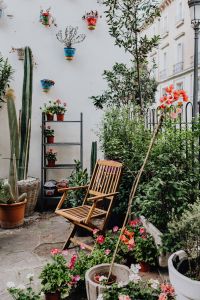 Kaboompics - Wooden Lounge Chair among Potted Plants in a Courtyard