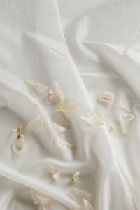 Kaboompics - White Flower Petals on Draped Fabric with Soft Copy Space