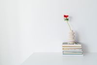 Kaboompics - Single Red Poppy in White Vase with Books and Copy Space