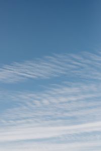 Kaboompics - Soft White Cloud Bands Along a Clear Blue Sky for Background Use