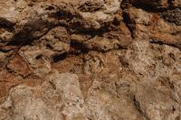Kaboompics - Warm Beige Pitted Limestone Rock Background