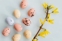 Kaboompics - Easter Eggs & Forsythia