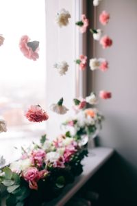 Kaboompics - Hanging Pink and White Carnations Above a Flower Arrangement on a Windowsill