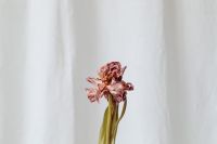 Kaboompics - Minimal Dried Flower Stem On White Curtain