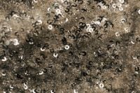 Kaboompics - Black and Silver Sequin Textile Detail