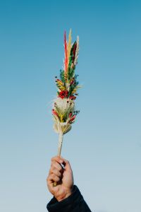Palm Sunday - Niedziela Palmowa