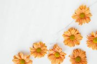 Kaboompics - Scattered Orange Chrysanthemums on Marble with Copy Space