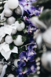 Kaboompics - White Baubles and Ultra Violet Blooms in Christmas Tree Foliage