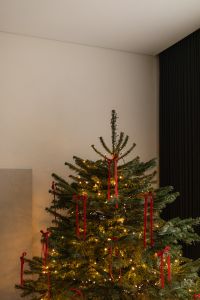 Kaboompics - Christmas Tree With Red Ribbon Decorations