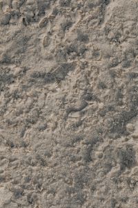 Kaboompics - Mottled Wet Sand with Swirling Tide Marks