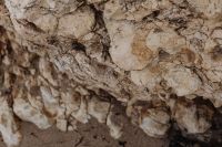 Kaboompics - Gray Stone Surface with Deep Horizontal Cracks