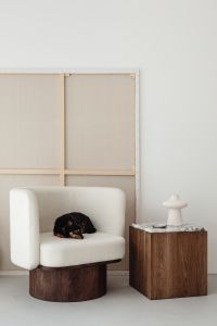 Kaboompics - Small Black Dog Resting on Beige Armchair beside Wooden Side Table