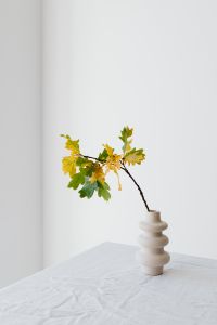 Kaboompics - Oak Branch in Sculptural White Vase on a Minimal Table