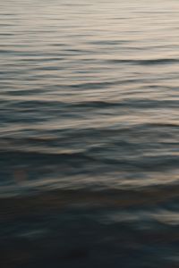 Kaboompics - Calm Sea Water Texture with Soft Light Reflection, Baltic