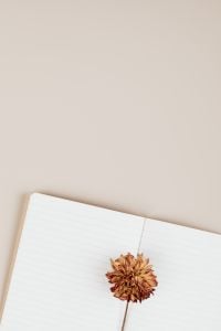 Kaboompics - Open Notebook with Dried Flower
