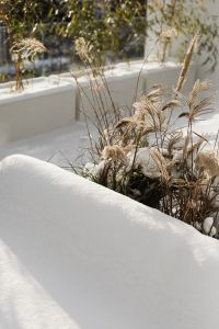Kaboompics - Snow-Covered Patio Planter with Winter Grasses