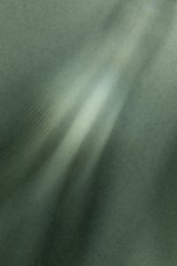 Kaboompics - Soft Green Light Rays and Abstract Shadow Texture