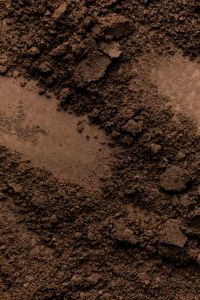 Kaboompics - Loose Brown Eyeshadow Powder Swatch
