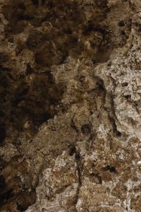 Kaboompics - Abstract Water Ripples Over Submerged Shore Rocks