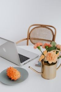 Kaboompics - Laptop and Carnations Beside Kiwano Fruit on a White Table