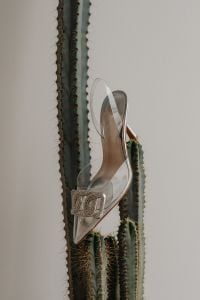 Kaboompics - Clear Crystal-Buckle Heels Styled Beside a Cactus