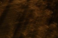 Kaboompics - Dark Brown Motion Blur with Fine Curved Lines, Subtle Neutral Background Texture