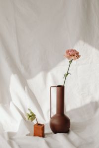 Kaboompics - Minimal Flower Study on Soft White Textile